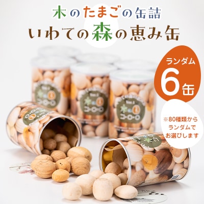 「いわての森の恵み缶」ランダム6缶set　木のたまごコロロ