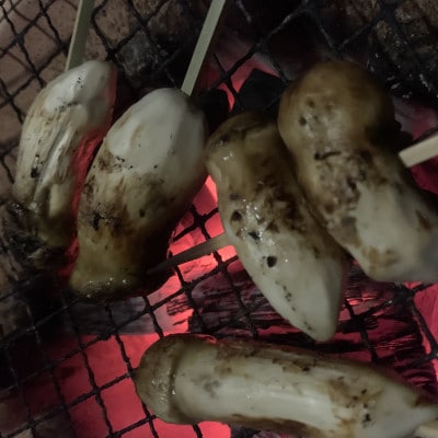 岩泉産・松茸コロ　150g【配送不可地域：離島】