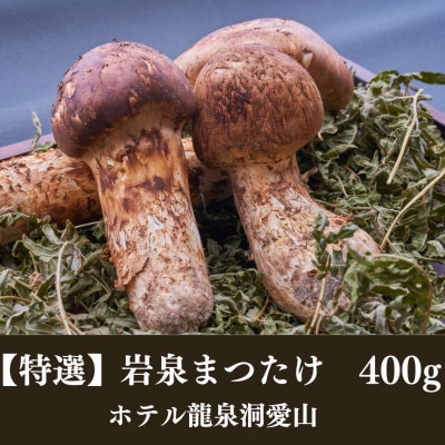【2026秋発送】≪特選≫　岩泉まつたけ  400g　天然【配送不可地域：離島】