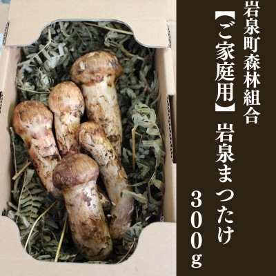 ≪ご家庭用に≫　岩泉まつたけ  300g【配送不可地域：離島】