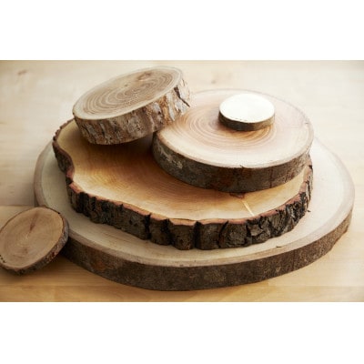 岩泉の森の樹のプレート10樹種set