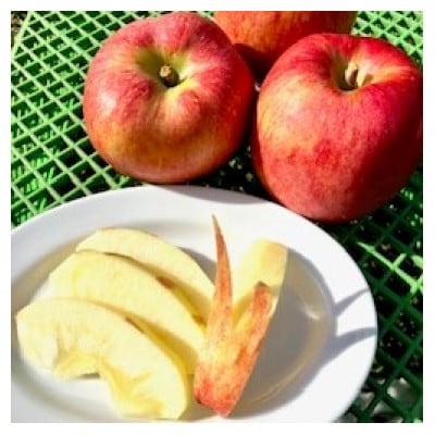 岩手県岩泉町産りんご(3キロ:約6個)希少品種!「大夢(おおゆめ)」岩手沿岸地域のみで育てる新品種　