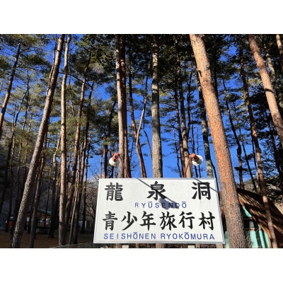 岩手県岩泉町　龍泉洞旅行村フリーサイトで野営を楽しめるキャンプ場「キャンプ場利用券(テント1張分)」