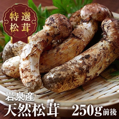 【2026秋発送】松茸マイスター厳選!旬の岩泉産松茸　250g(前後)【配送不可地域：離島】