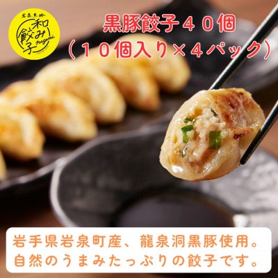 【岩泉黒豚 和み餃子】岩手県岩泉町産 龍泉洞黒豚使用の手包み餃子 40個【配送不可地域：離島】