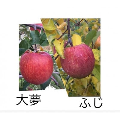 岩手県岩泉町産りんご 2品種食べくらべ!【サンふじ・おおゆめ】(1.5キロ:約4個)