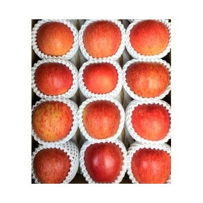 岩手県岩泉町産りんご　サンふじ(5キロ:約12個)