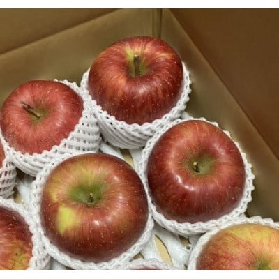 岩手県岩泉町産りんご　サンふじ(3キロ:約8個)