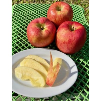 岩手県岩泉町産 りんご2品種(サンふじ・大夢)食べくらべ! 3キロ(約8個)