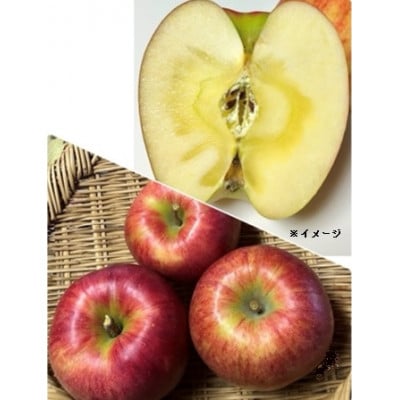 岩手県岩泉町産 りんご2品種(サンふじ・大夢)食べくらべ! 5キロ(約12個)