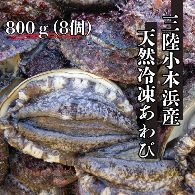 三陸小本浜産冷凍天然あわび　800g(8個入り)【配送不可地域：離島】