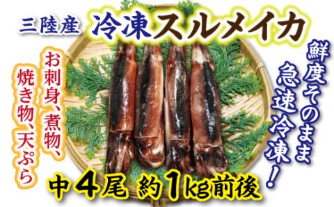 冷凍スルメイカ中 ４本～６本 （約１kg前後）