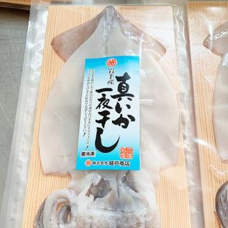 北三陸産 イカの一夜干し特大 1枚入り×５袋