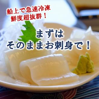 【鮮度そのまま急速冷凍】 冷凍スルメイカ 大サイズ 20尾入 鮮度そのまま！ いか イカ