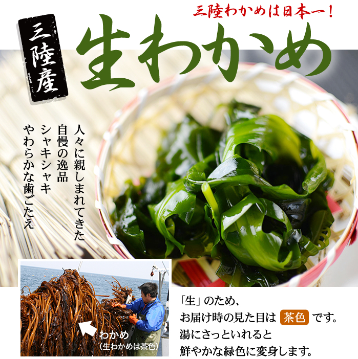 【期間限定】北三陸産 早どりわかめ １kg ワカメ 若芽 わかめしゃぶしゃぶ