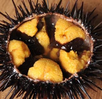 三陸産「天然生うに」先行受付！180g×1本 ミョウバン不使用 牛乳瓶 【令和５年5月下旬～発送予定】