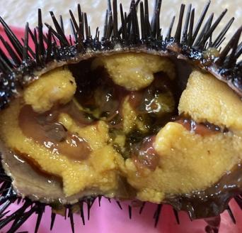 三陸産「天然生うに」先行受付！180g×1本 ミョウバン不使用 牛乳瓶 【令和５年７月～発送予定】