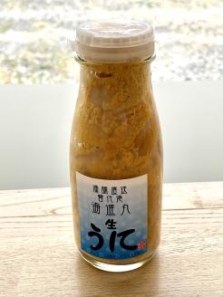 【漁師厳選】 普代産生うに180g×２本 牛乳瓶入り ミョウバン不使用 塩水