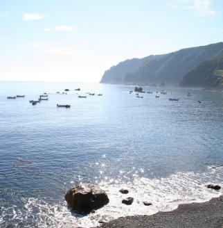 三陸産「天然生うに」先行受付！180g×1本 ミョウバン不使用 牛乳瓶 【令和５年７月～発送予定】