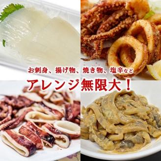 冷凍スルメイカ中 ４本～６本 （約１kg前後）