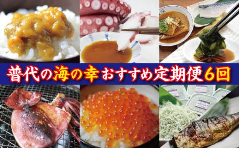 【定期便】三陸 普代のおすすめ海の幸お楽しみ定期便６回 ６カ月連続お届け