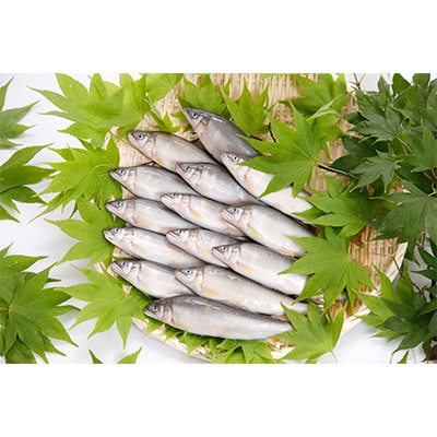 野田村産　清流安家川育ちの美鮎　1kg【配送不可地域：離島】