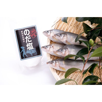 野田村産「清流安家川育ちの美鮎」と「のだ塩」セット【配送不可地域：離島】