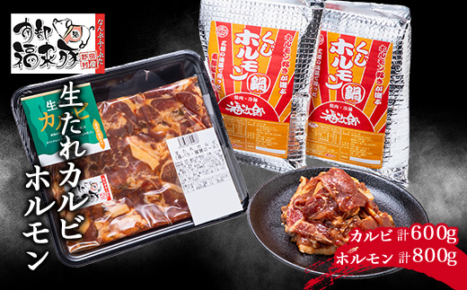 南部福来豚(なんぶふくぶた)の生たれカルビとホルモンセット【配送不可地域：離島】