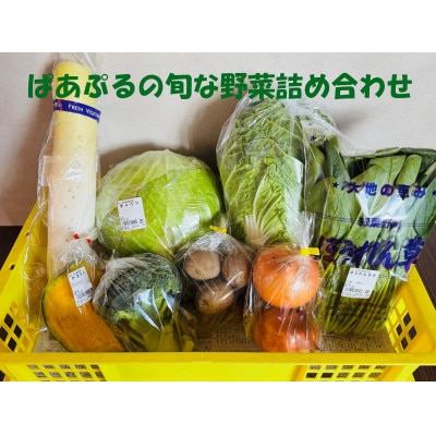 ぱあぷるの旬な野菜詰め合わせ【配送不可地域：離島】