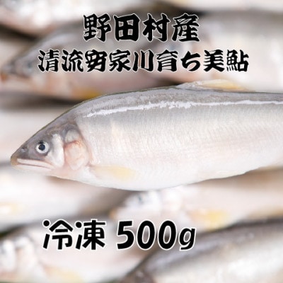野田村産　清流安家川育ち美鮎　500g【配送不可地域：離島】