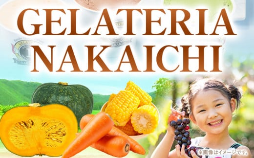 ジェラート 6種 12個 バラエティーセット 《30日以内に出荷予定(土日祝除く)》岩手県 九戸村 ジェラート アイス ---isk_fnkice_30d_23_17000_12i---