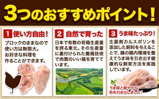 鶏肉 岩手 ジューシー 若鶏 むね ブロック 約6kg むね肉《30日以内に発送予定(土日祝除く)》岩手県 九戸村 とり肉 ---ifn_fjcybrmn_30d_23_14000_6kg---