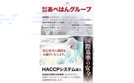 【あべどり】 もも肉 むね肉 ハンバーグセット 株式会社阿部繁孝商店《30日以内に出荷予定(土日祝除く)》 岩手県 九戸村 鶏肉 ---isk_fkoshmset_30d_22_17500---