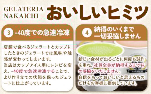 ジェラート 6種 6個 バラエティーセット 《30日以内に出荷予定(土日祝除く)》岩手県 九戸村 アイス ---isk_fnkice_30d_23_11000_6i---