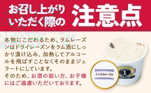 ジェラート 6種 6個 バラエティーセット 《30日以内に出荷予定(土日祝除く)》岩手県 九戸村 アイス ---isk_fnkice_30d_23_11000_6i---