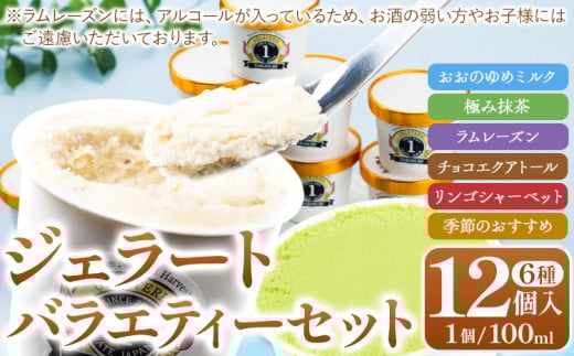 ジェラート 6種 12個 バラエティーセット 《30日以内に出荷予定(土日祝除く)》岩手県 九戸村 ジェラート アイス ---isk_fnkice_30d_23_17000_12i---