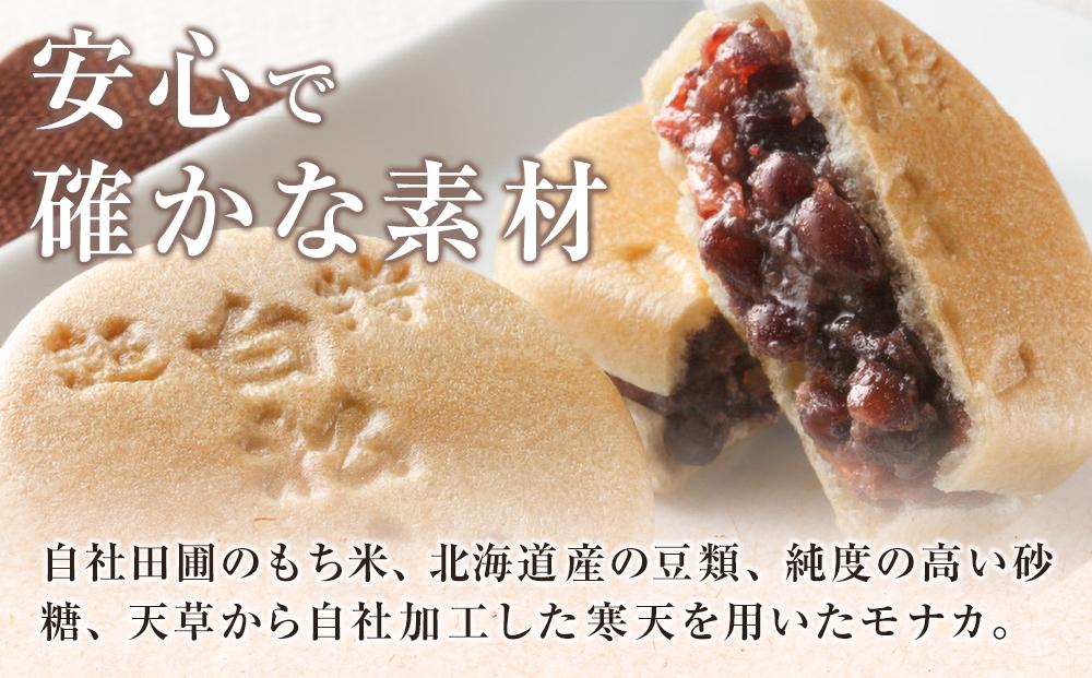 白松がモナカ 中型詰合せ 12個入【モナカ 和菓子 詰め合わせ 仙台銘菓 白松がモナカ 中型詰合せ ふるさと納税 仙台市 名物菓子】