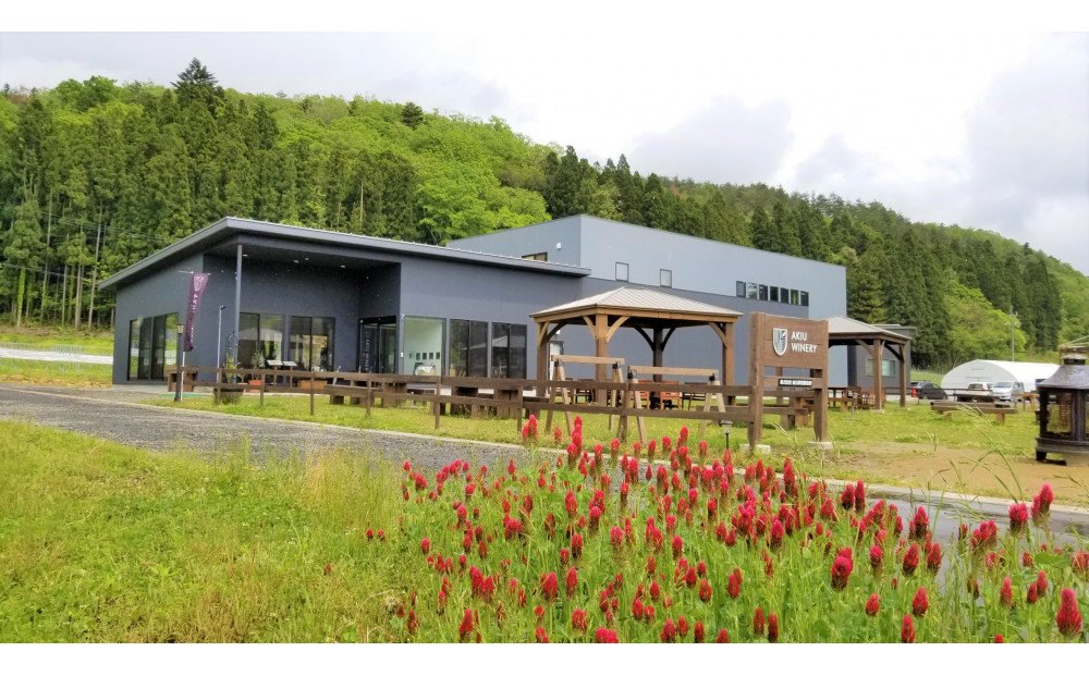 ネオトレイル 甲州 NEO TRAIL KOSHU 2024　750ml×1本【 オレンジワイン お酒 アルコール アルコール飲料 晩酌 家飲み 宅飲み 飲み会 集まり バーベキュー BBQ イベント 飲み物】