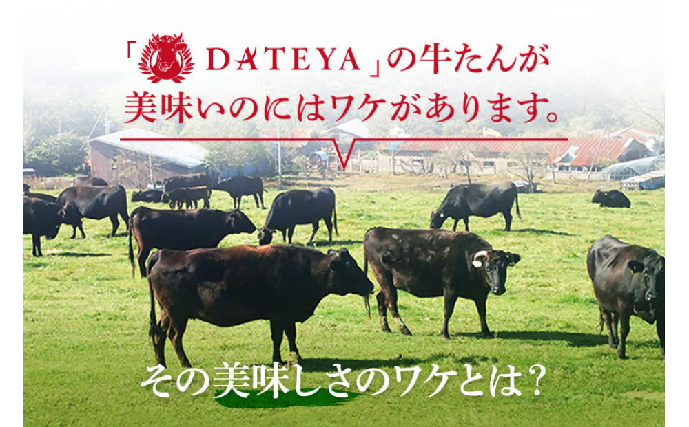 【5営業日以内発送　12/10決済分】【本場仙台専門店の味】牛タン 切り落とし 250g  | 仙台名物 牛たん 塩味 薄切り 牛肉 牛たん 熟成 牛タン 焼肉 バーベキュー BBQ 小分け お取り寄せ 冷凍 宮城 だてや ダテヤ DATEYA