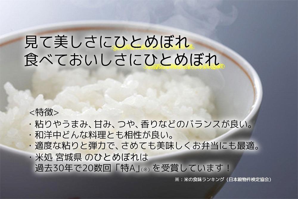 【ひとめぼれ】新米 令和7年度産 精米 10kg（5kg×2袋）宮城県産【米 お米 こめ コメ ご飯 ごはん】