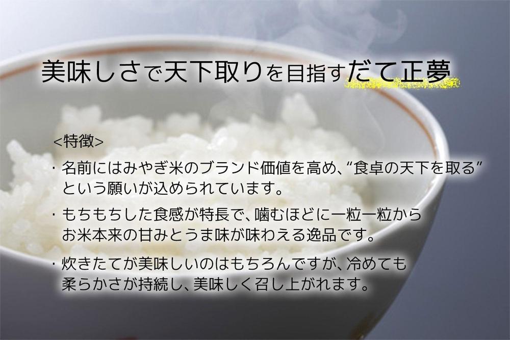 【宮城県産 だて正夢】新米 令和7年度産 精米 5kg（5kg×1袋）【米 お米 こめ コメ ご飯 ごはん】