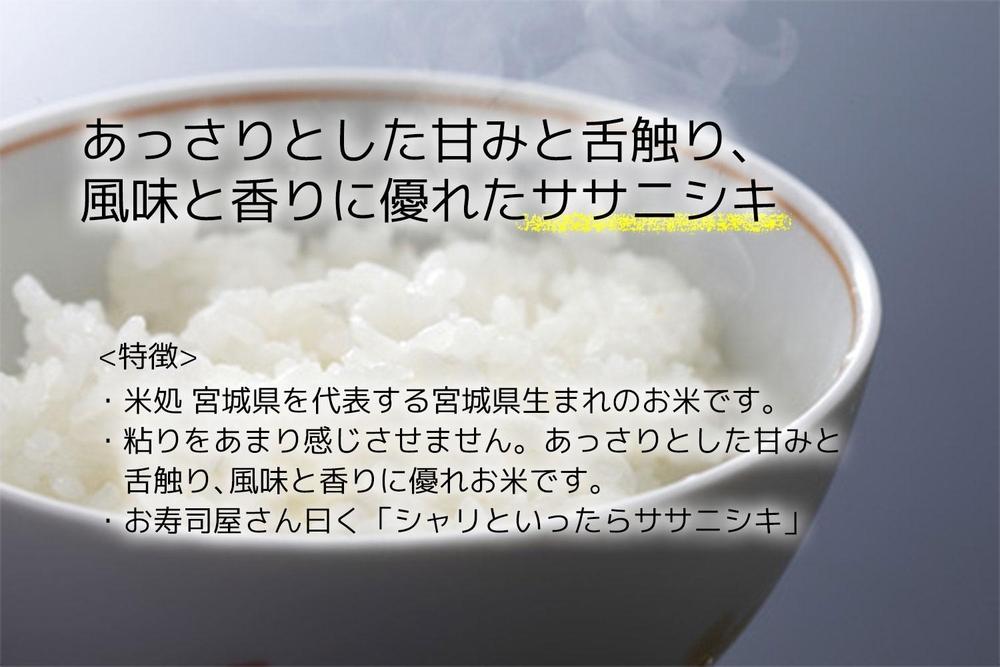 【ささにしき】新米 令和7年度産 精米 10kg（5kg×2袋）宮城県産【米 お米 こめ コメ ご飯 ごはん】