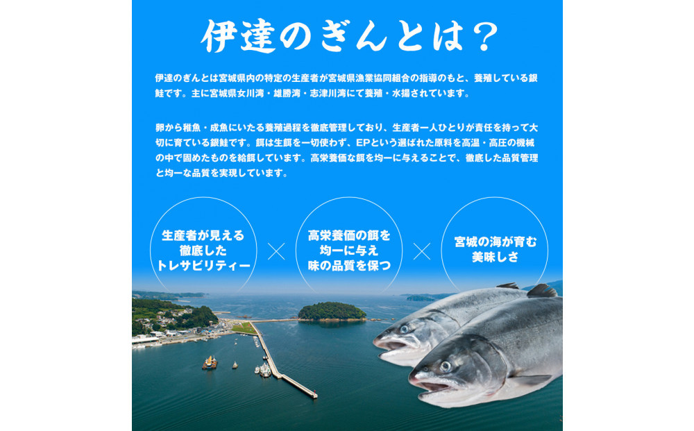 伊達の銀鮭モンゴル岩塩漬け 20切入（2切×10パック）