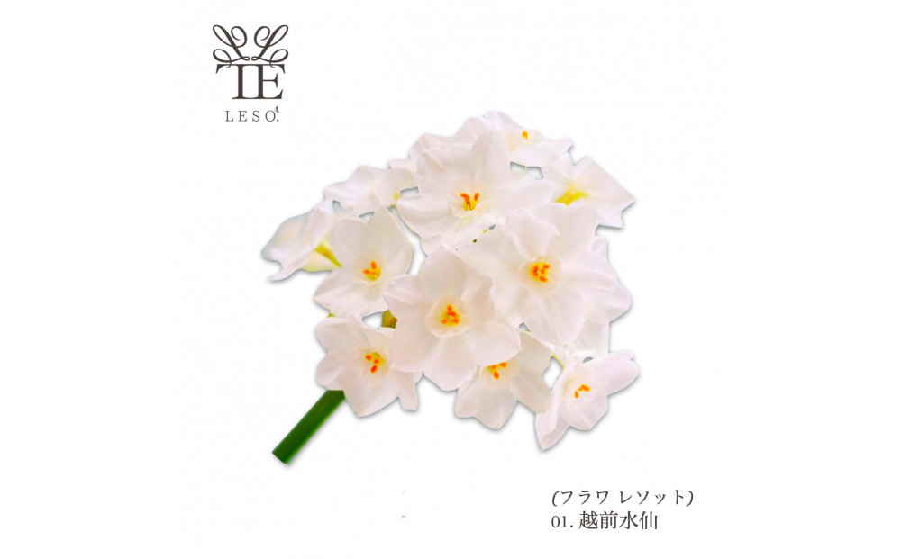 本物の花の香り リード・ディフューザー【水仙】