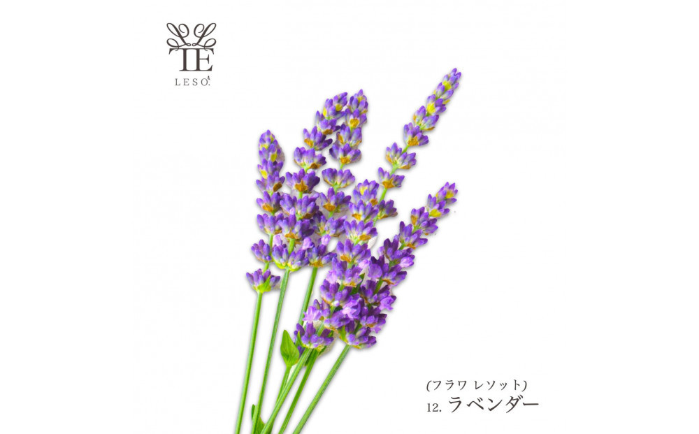 本物の花の香り リード・ディフューザー【ラベンダー】