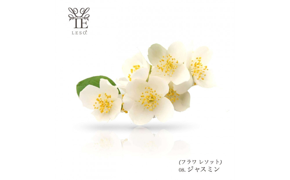 本物の花の香り リード・ディフューザー【ジャスミン】