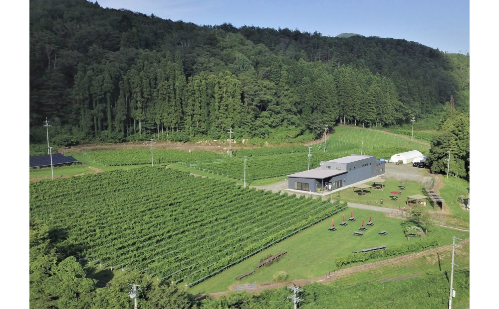 「Japan Cider Cup」コンクール受賞　シードルセット【お酒 アルコール アルコール飲料 晩酌 家飲み 宅飲み 飲み会 集まり バーベキュー BBQ イベント 飲み物】