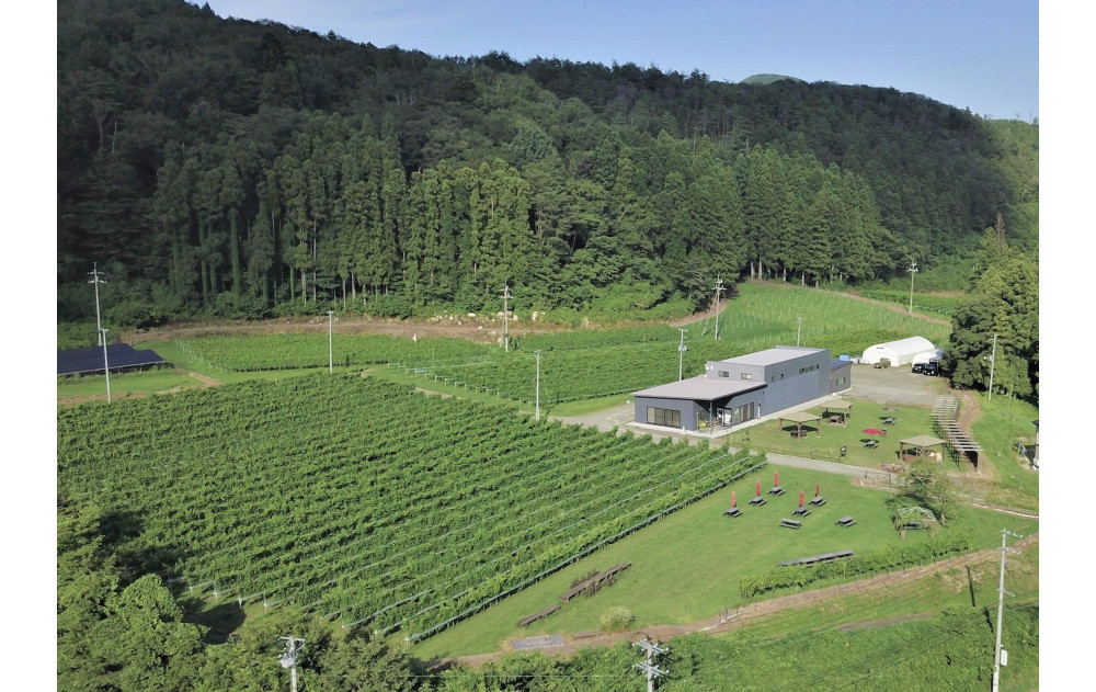 リバーウィンズルージュRIVER WINDS ROUGE2024　750ml×1本【 赤ワイン お酒 アルコール アルコール飲料 晩酌 家飲み 宅飲み 飲み会 集まり バーベキュー BBQ イベント 飲み物】