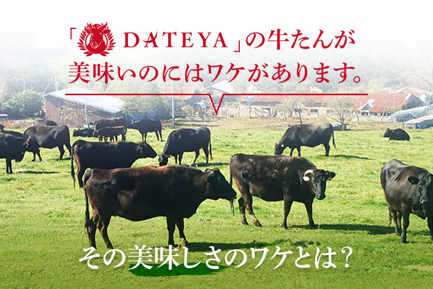 【定期便3回】【本場仙台専門店の味】牛タン 切り落とし 750g(250gx3袋)  | 仙台名物 牛たん 塩味 薄切り 牛肉 牛たん 熟成 牛タン 焼肉 バーベキュー BBQ 小分け お取り寄せ 冷凍 宮城 だてや ダテヤ DATEYA