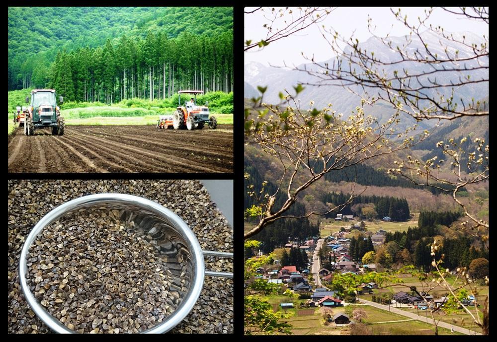 「秋保在来そば」乾麺（大）２箱とそば枕（大）セット【Ｃセット】　【そば・蕎麦・寝具・枕・乾麺・そば枕・セット・玄そば・秋保在来・そば殻・100％・手作り】